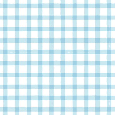 Blue Gingham 2-Sided Swaddle